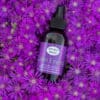 Jeff's Best Blends Calm Energy Synergistic Balancing Mist
